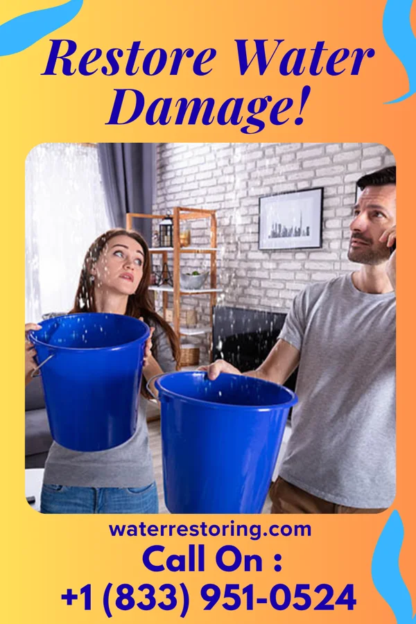 water restoration Local Cleanup Solutions Rock Spring